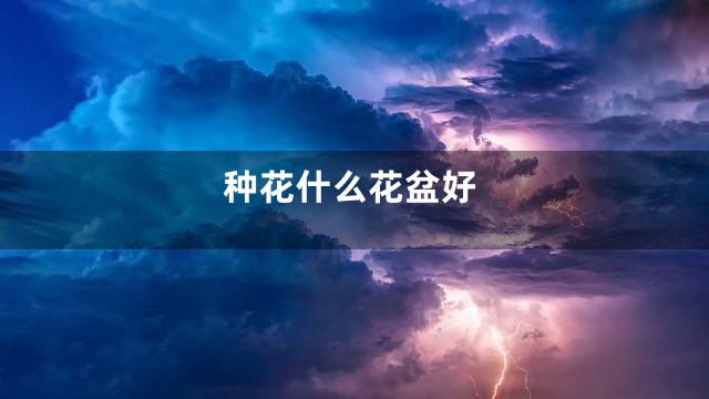 种花什么花盆好