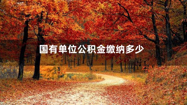 国有单位公积金缴纳多少
