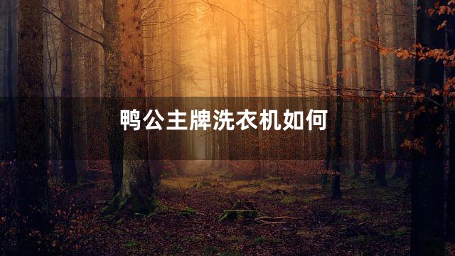 鸭公主牌洗衣机如何