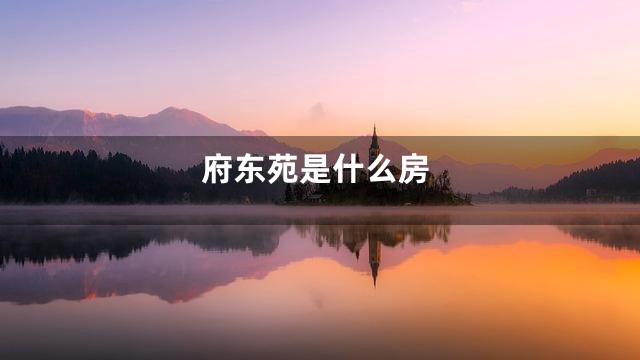 府东苑是什么房