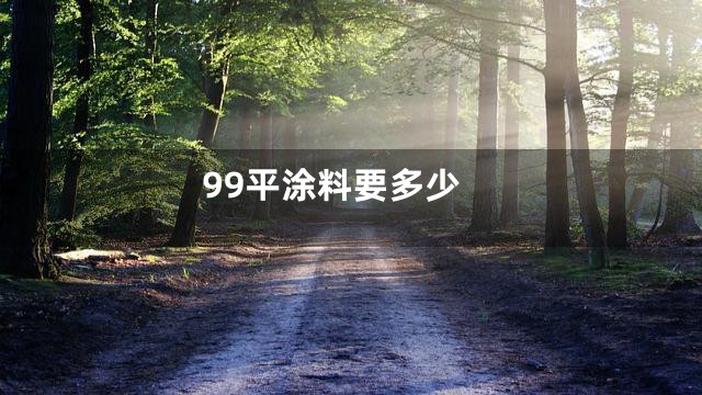 99平涂料要多少
