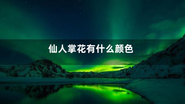 仙人掌花有什么颜色