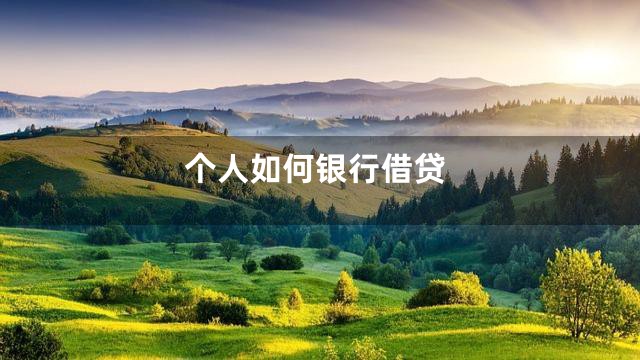 个人如何银行借贷