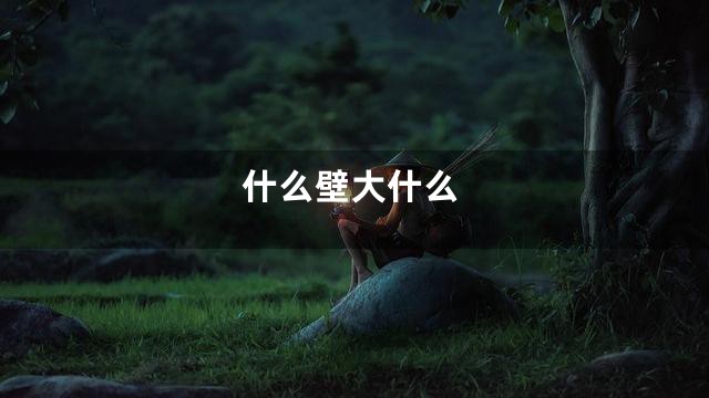 什么壁大什么