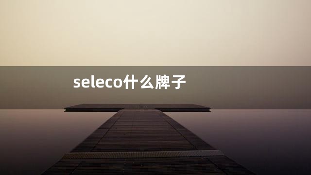 seleco什么牌子