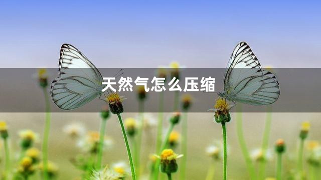 天然气怎么压缩