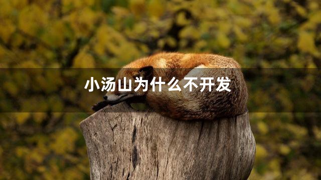 小汤山为什么不开发