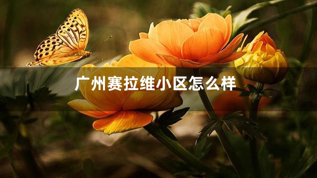 广州赛拉维小区怎么样