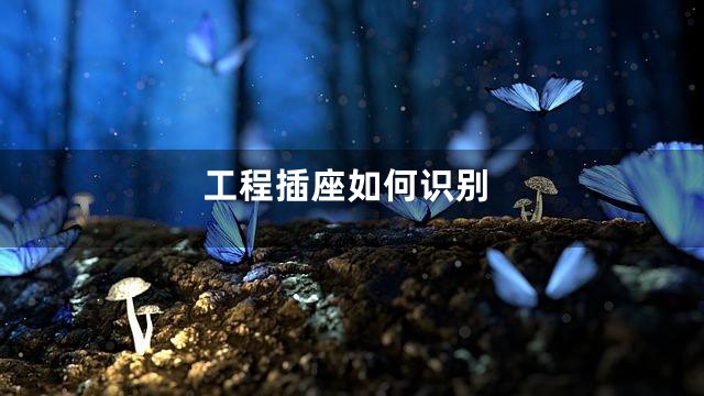 工程插座如何识别