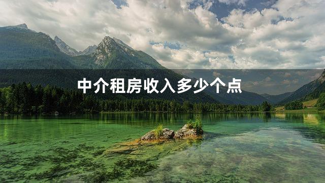 中介租房收入多少个点