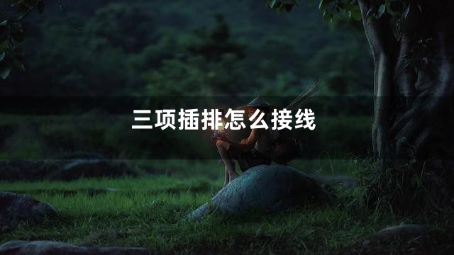 三项插排怎么接线