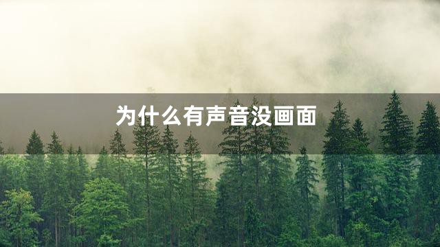 为什么有声音没画面