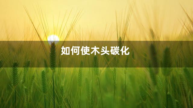 如何使木头碳化