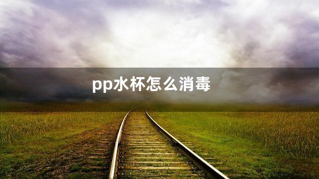 pp水杯怎么消毒