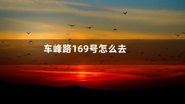 车峰路169号怎么去