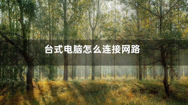 台式电脑怎么连接网路