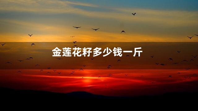 金莲花籽多少钱一斤
