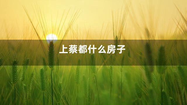 上蔡都什么房子