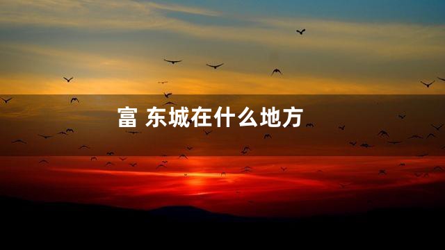 富 东城在什么地方