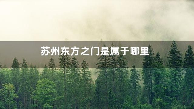 苏州东方之门是属于哪里