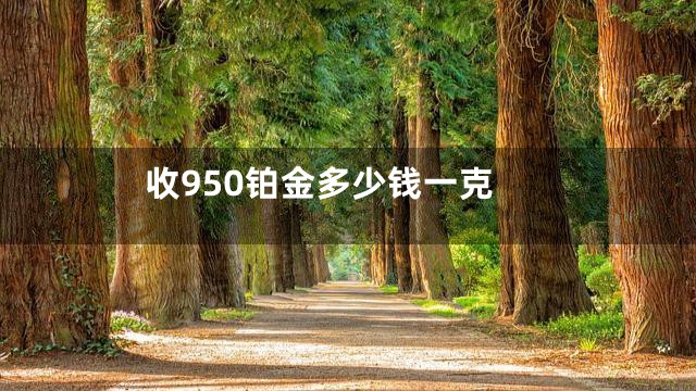 收950铂金多少钱一克