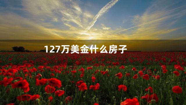 127万美金什么房子