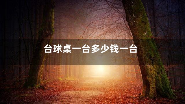 台球桌一台多少钱一台
