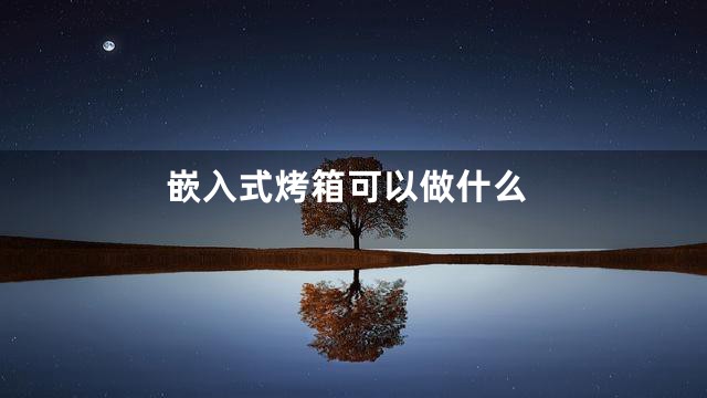 嵌入式烤箱可以做什么
