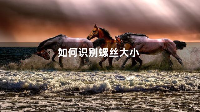 如何识别螺丝大小