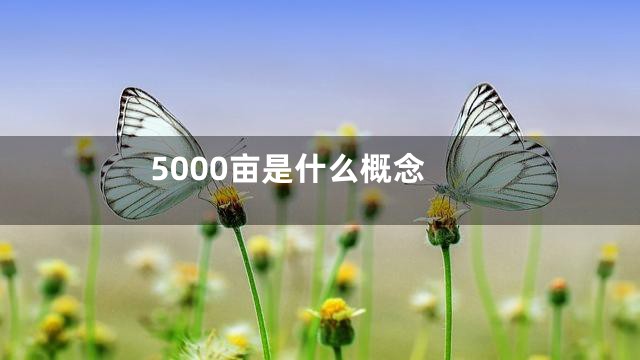5000亩是什么概念