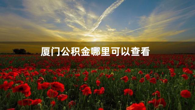 厦门公积金哪里可以查看