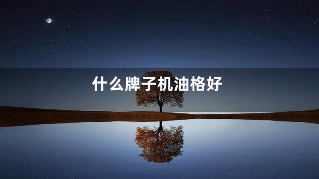 什么牌子机油格好