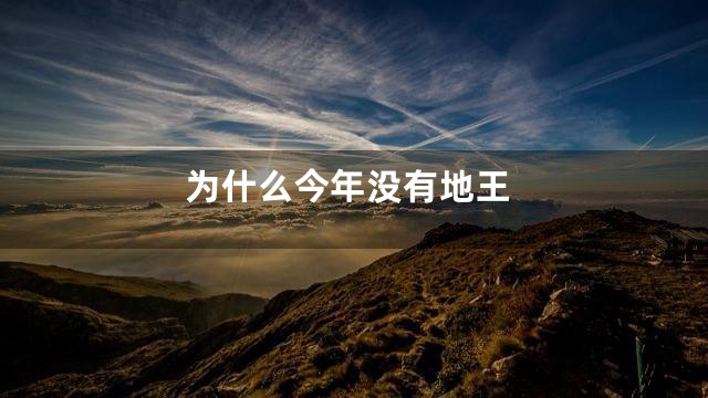 为什么今年没有地王