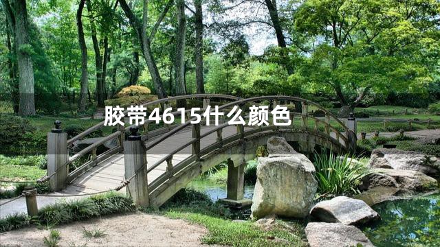 胶带4615什么颜色