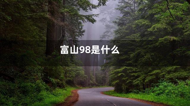 富山98是什么