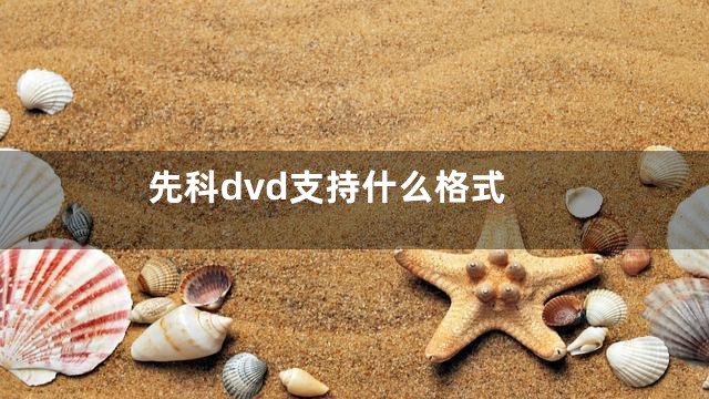 先科dvd支持什么格式
