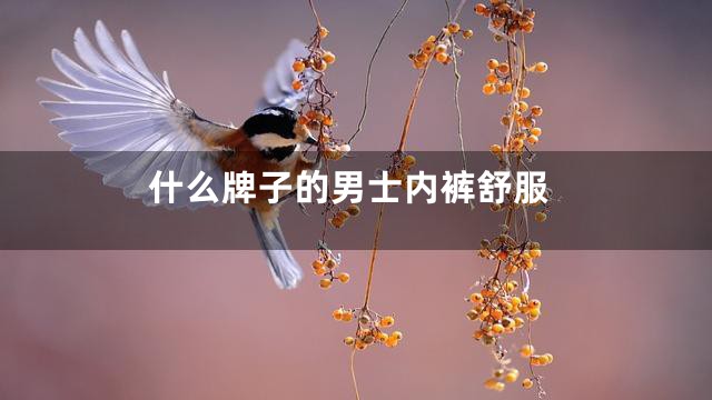 什么牌子的男士内裤舒服