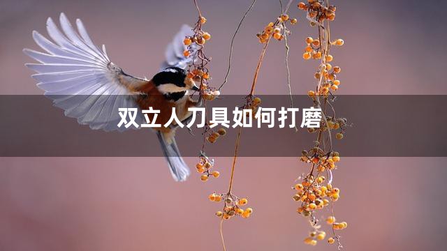 双立人刀具如何打磨