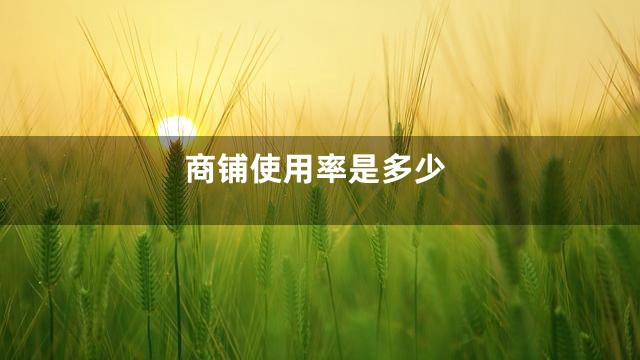 商铺使用率是多少
