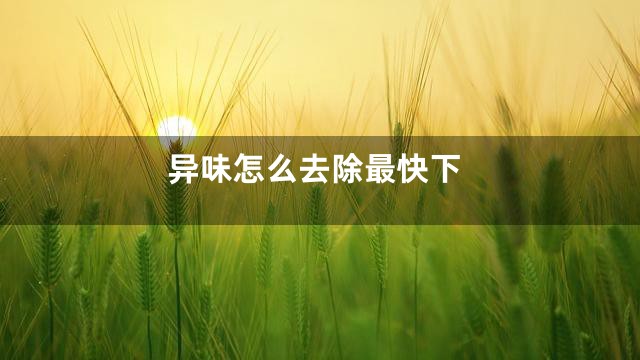 异味怎么去除最快下