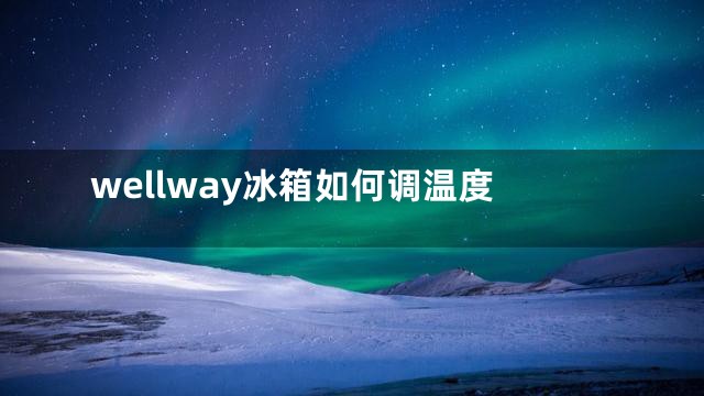 wellway冰箱如何调温度