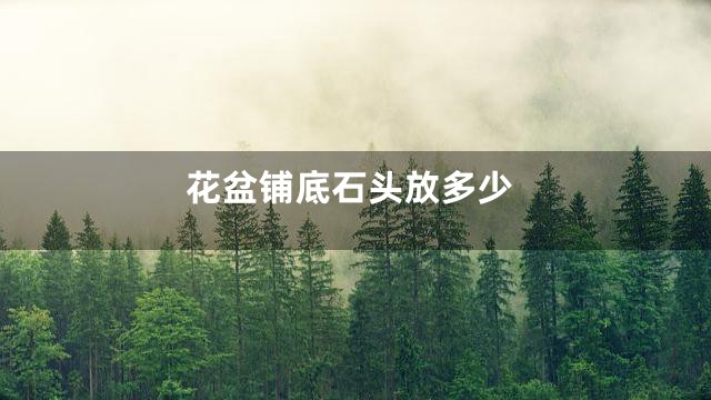 花盆铺底石头放多少