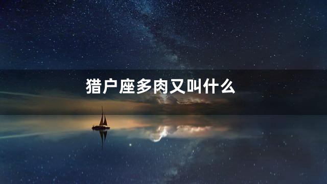 猎户座多肉又叫什么