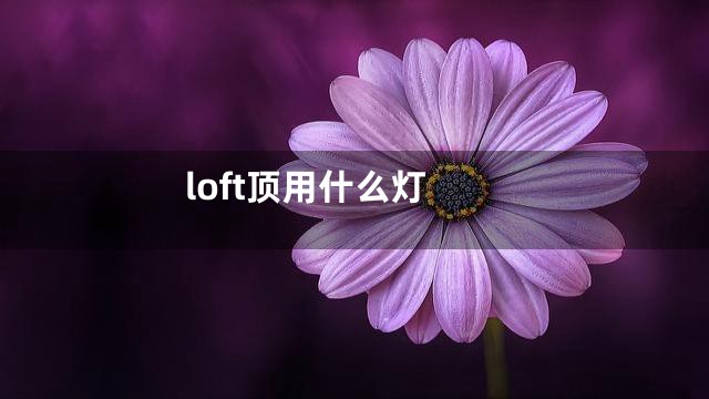 loft顶用什么灯