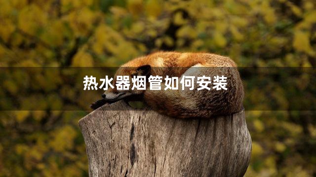 热水器烟管如何安装