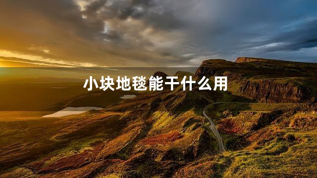 小块地毯能干什么用