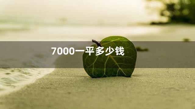 7000一平多少钱