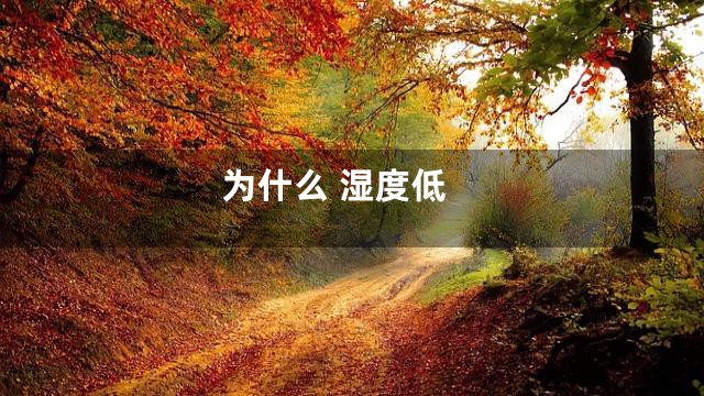 为什么 湿度低