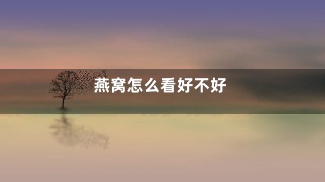 燕窝怎么看好不好