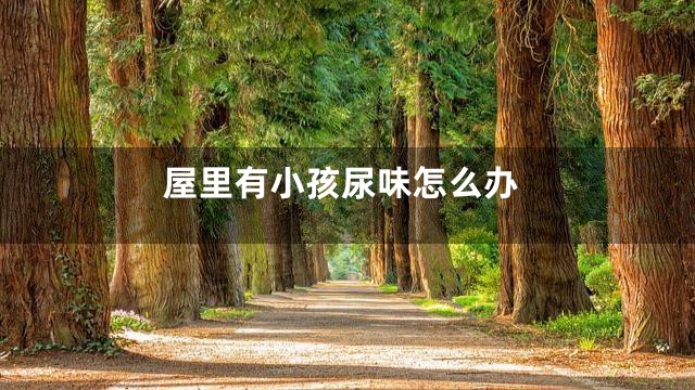 屋里有小孩尿味怎么办
